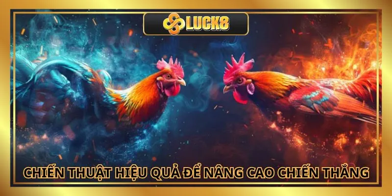 Áp dụng chiến thuật chơi trực tiếp đá gà 67 chuẩn xác