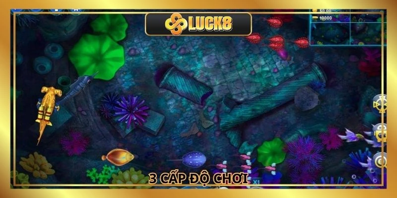 Thành viên có 3 lựa chọn về cấp độ chơi