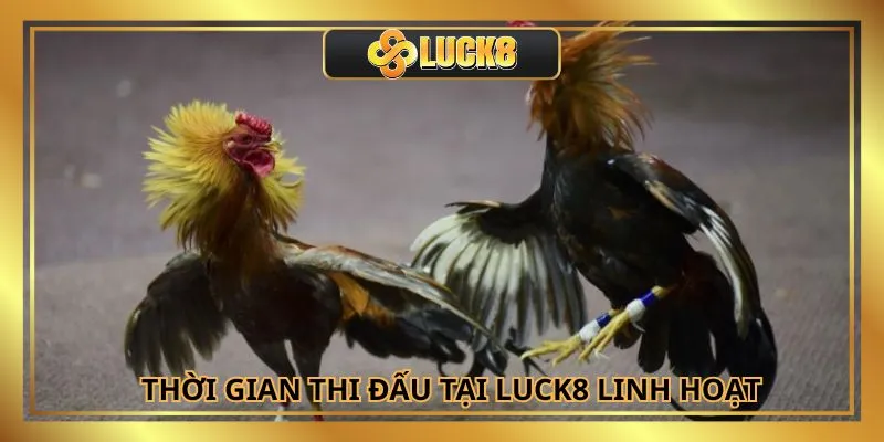 Thời gian cược đá gà Luck8 được thiết kế vô cùng linh hoạt